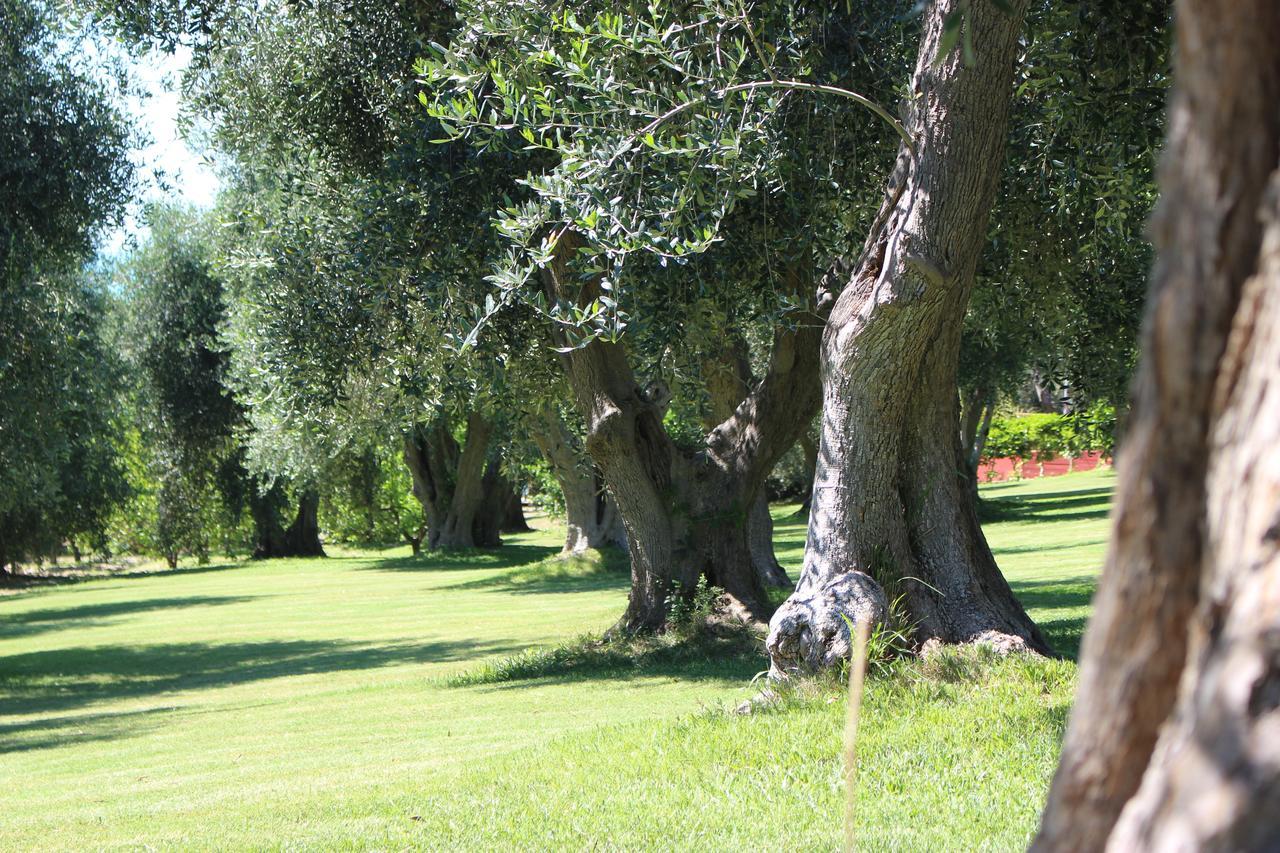 Villaggio Uliveto Rodi Garganico Extérieur photo